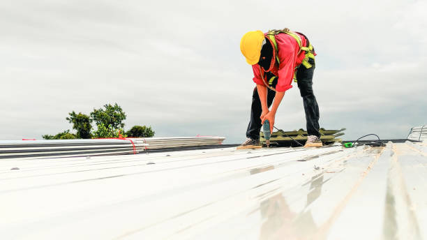 Best Roof Insulation Installation  in North Ogden, UT